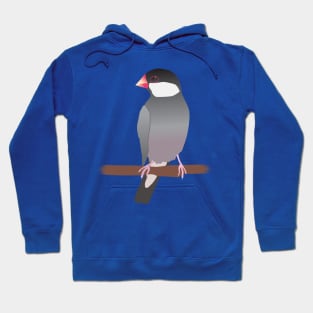 Java sparrow Hoodie